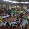 Foto | LA PATRIA  Concejales sesionaron ayer en pleno pabellón central de La Galería, donde el próximo año se renovará el techo. 