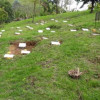 Cementerio El Carmen, de Riosucio (Caldas).