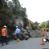 Volcán Cerro Bravo, emisión de gas y vapor 