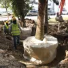 Fotos | Luis Trejos | LA PATRIA Así lucen las obras de la Línea Tres del Cable Aéreo en el Parque La Gotera.