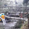 La caída de árboles ocurrió en el tramo vial entre la Iglesia y Termales El Otoño, en Gallinazo (Villamaría).