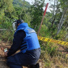 Las labores de desminado duraron cinco años en Marulanda.