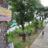 parque en manizales