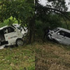 Contra un árbol chocó el colectivo de servicio público en la vía entre La Virginia (Risaralda) y Viterbo (Caldas). 