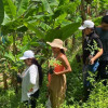 Foto I Facebook Alcaldía I LA PATRIA  Grupo de participantes en la jornada de reforestación de la cuenca de la quebrada que abastece a comunidades de la vereda La Primavera. Los alumnos sembraron en las ladereras contiguas a la fuente de agua.