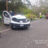 Cinco ocupantes de la buseta que se movilizaba entre Honda y La Dorada murieron tras el accidente.