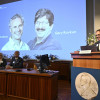 El presidente del Comité Nobel, Thomas Perlmann, se dirige a una conferencia de prensa para anunciar los ganadores del Premio Nobel de Fisiología o Medicina en el Instituto Karolinska de Estocolmo, Suecia, el 7 de octubre de 2024.