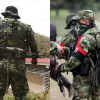 Disidencias de las Farc y Eln