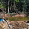 Los delincuentes afectaron una amplia zona de bosque en Norcasia.