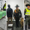 La perrita Sam, de la Unidad Canina de la Policía Metropolitana de Manizales.