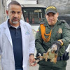 Una iguana fue entregada tras el llamado a la comunidad que devolvió 20 animales en peligro de extinción en Belalcázar (Caldas).