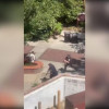  Captura de video de agentes de seguridad durante un tiroteo este jueves, en la Universidad Estatal de Florida en Tallahassee (Estados Unidos). 