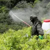  Un miembro de la Policía de Colombia mientras fumiga un cultivo de coca. 