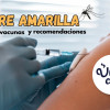 Fiebre amarilla: muertes, vacunas y recomendaciones