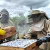 Iniciativa ambiental en zonas rurales, mediante la apicultura sostenible en Manizales