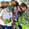 Gran evento en Armenia: el Quindío celebra su primer Mercado Campesino Departamental