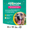 La jornada de adopción será este domingo 28 de septiembre. 
