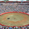 Toros y Ciduad será del 10 al 12 de octubre. 