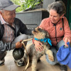 Mechudo se reencontró con su familia en una jornada de adopción de la UPA en Manizales, luego de tres meses de haberse perdido.