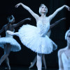 Se verán tres producciones con las estrellas y bailarines principales: Giselle, El Cascanueces y Le Parc.