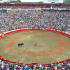 Las plazas de Toros de Cali y Manizales tendrán nómina de lujo