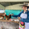 FOTOS I Cortesía Sena para LA PATRIA  Carmen Elvira Mendivelso Forero lidera Huevos Peñola S.A.S. en Victoria (Caldas), un emprendimiento avícola fortalecido con recursos de Fondo Emprender del Sena.