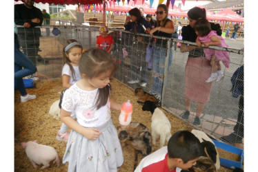 Las familias asisten a los espectáculos de magia y de exposición de animales domésticos llevadas a cabo en el Ecoparque Los Yarumos, toda esta semana, con entrada gratis.