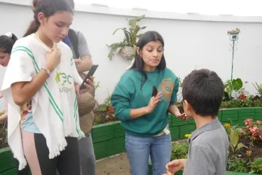 El mariposario del Ecoparque Los Yarumos abrió este jueves al público, la entrada es gratis. Cuenta con especies nativas, en el interior hay una cascada.