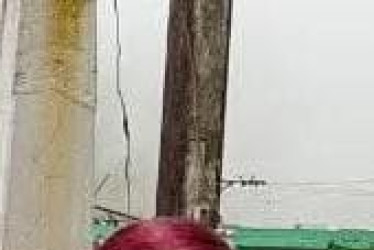 Foto | LA PATRIA ​​​​​​​Sergina Escobar Betancur