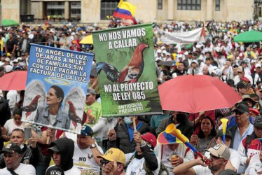 Protestan contra prohibición de peleas de gallos