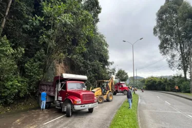 Retiran material vegetal que cayó sobre la avenida Alberto Mendoza (Manizales)