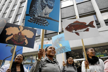 Habitantes del suroccidente del país protestan por el incumplimiento de la sentencia impuesta a la hidroeléctrica Anchicaya.