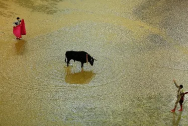 La Feria Taurina de Cali se cumplirá hasta el viernes.