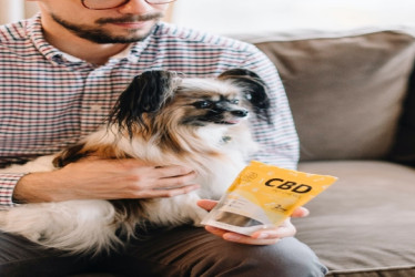 Hombre carga a un perro en sus piernas mientras sostiene una bolsa de productos de CBD.