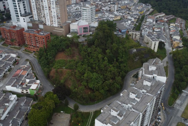 Bosque de Camino de la Palma Real, ubicado en el barrio Laureles de Manizales.