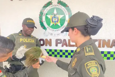 Comunidad y la Policía ponen a salvo a un oso perezoso en Palestina