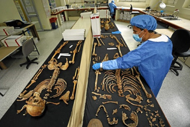 Los forenses tienen la tarea de armar los esqueletos de las víctimas.