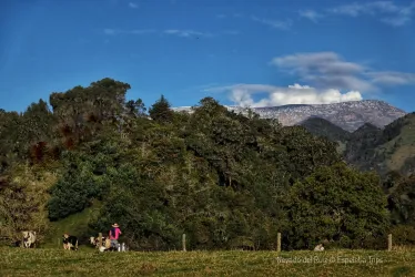 Alcaldes del Tolima en zona de influencia del Ruiz lanzan S.O.S al Gobierno nacional 