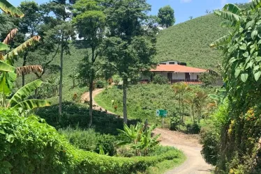 San Pedro conserva edificaciones en bahareque muy antiguas y de gran belleza