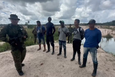 Provenían del Guainía y fueron capturados en el Parque Naciona Yapacana, en el estado venezolano de Amazonas.