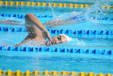 El conversatorio con la Selección Colombia de Natación se desarrollará este martes a las 10 de la mañana en el Hotel Benidorm de Manizales.