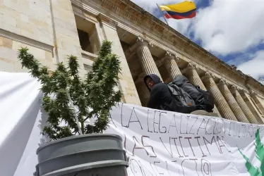 Legalización del cannabis de uso recreativo se quedó sin los votos necesarios en el Senado