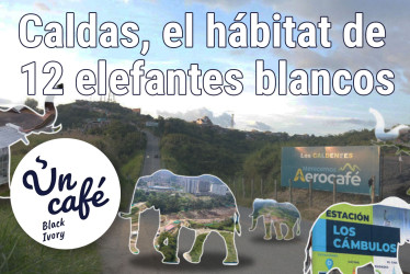 Los costosos elefantes blancos de Caldas, enumerados en Un Café Black Ivory