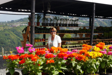 Cecilia Osorio emprendió desde hace siete años un negocio familiar al que llamó Planta Colombia. Hoy ensambla materos de cemento que distribuye en los mercados del Eje Cafetero y de Antioquia.