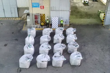 La cocaína estaba mezclada con carbón-asfaltita