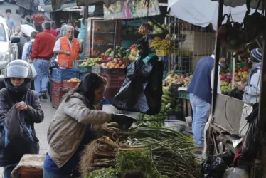 Galería de Manizales