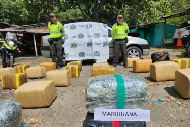 La marihuana incautada. 