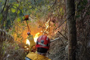 Bomberos de Filadelfia trabajan para controlar el incendio que se presentó en zona rural del municipio.