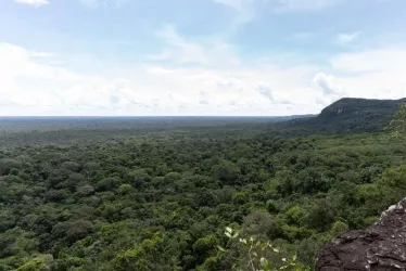 En mayo de este año se anunció un aporte del Reino Unido de 13 millones de libras esterlinas para combatir la deforestación en la Amazonía colombiana.