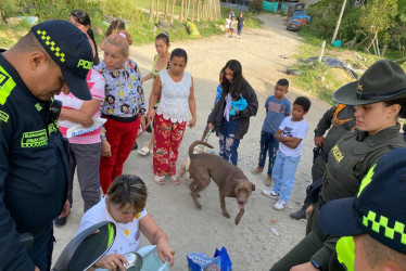 La jornada se desarrolló este sábado en la comuna Ciudadela del Norte de la capital de Caldas y benefició a 50 animales.